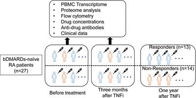 Dynamics of Type I and Type II Interferon Signature Determines Responsiveness to Anti-TNF Therapy in Rheumatoid Arthritis